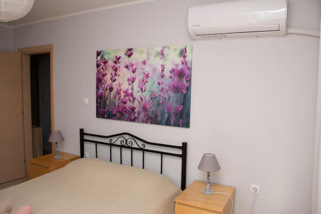 Anadora 2: Hospitable Stone House With Yard Apartment Александруполис Екстериор снимка