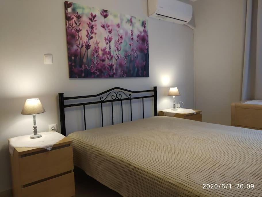 Anadora 2: Hospitable Stone House With Yard Apartment Александруполис Екстериор снимка