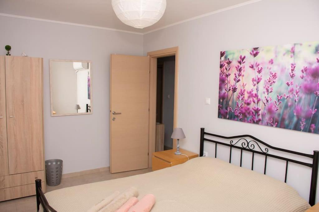 Anadora 2: Hospitable Stone House With Yard Apartment Александруполис Екстериор снимка